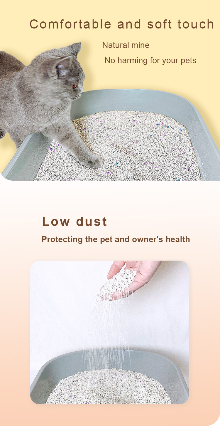 cat litter